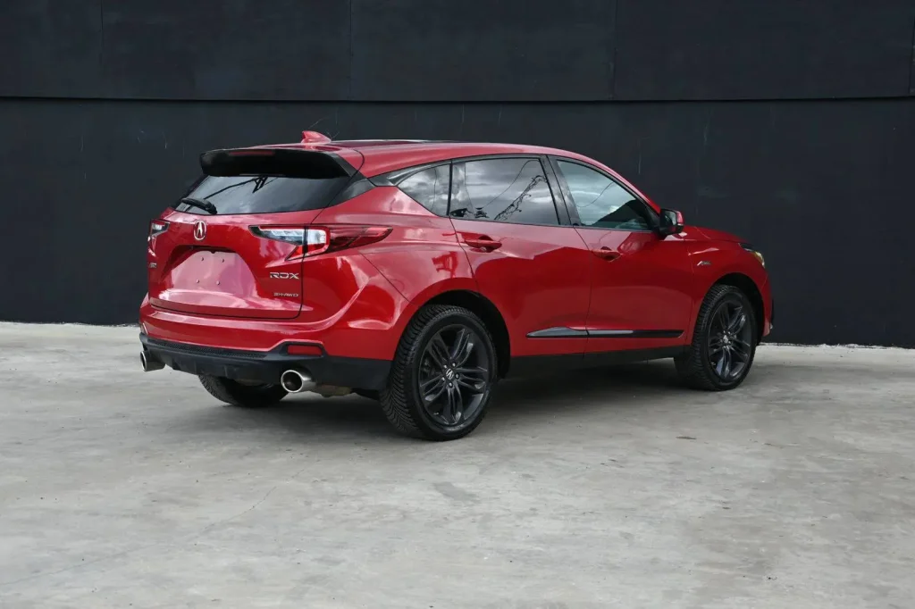 556231014 1645177180060027 9141777356285326022 n